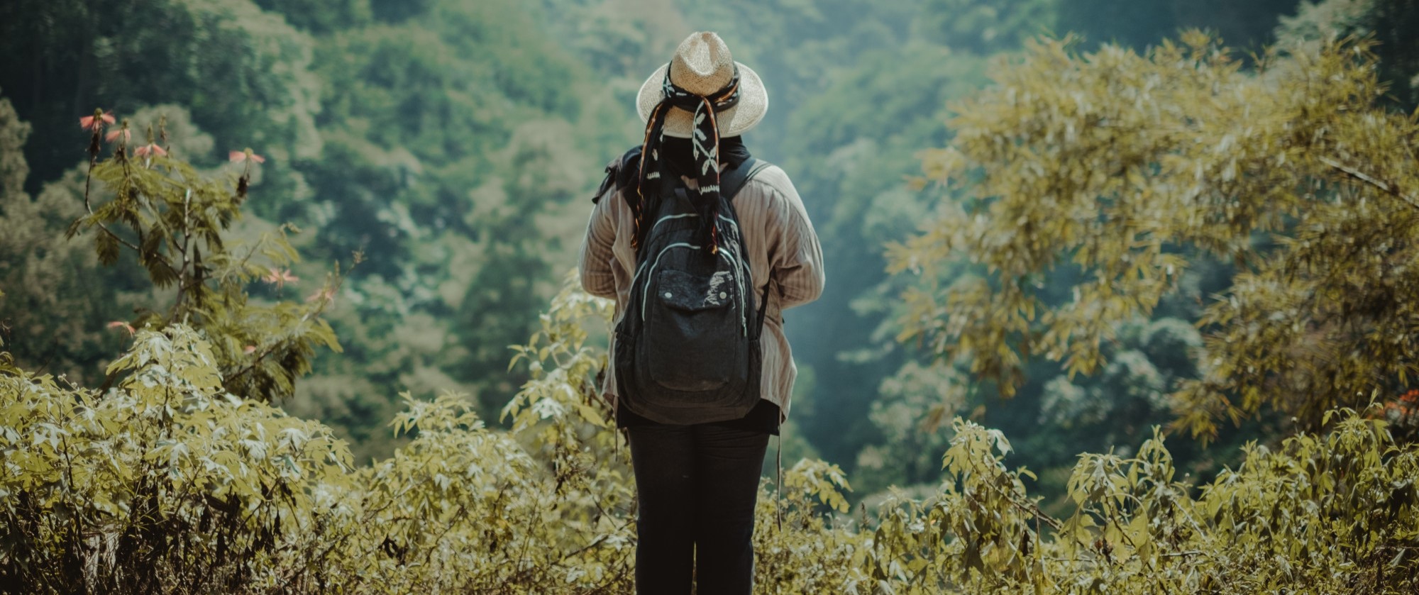 산악 등반